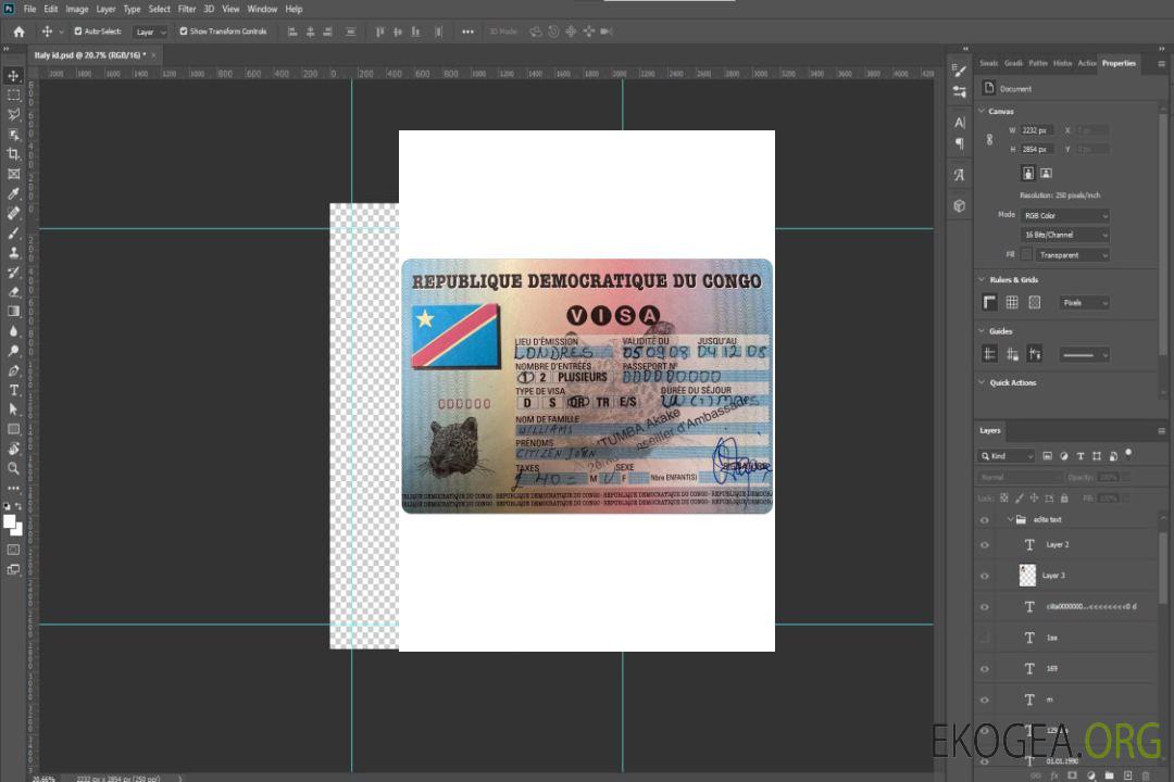 Visa CONGO template Visa CONGO template